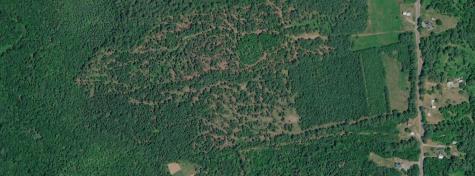 Lot 036 E Andover Road Andover ME 04216