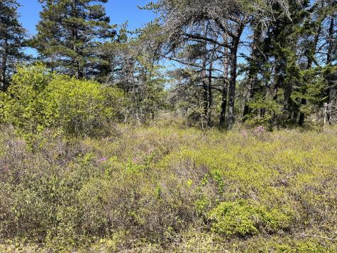 Map30 Lot4 East Schoodic Road Gouldsboro ME 04607