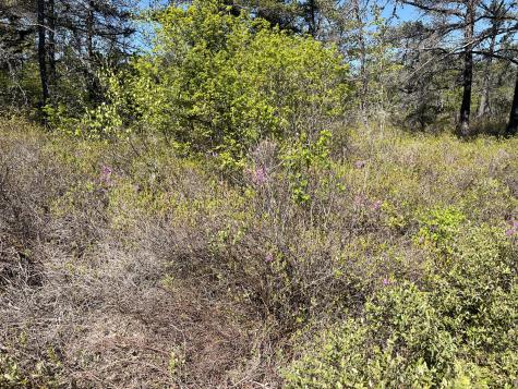 Map30 Lot4 East Schoodic Road Gouldsboro ME 04607