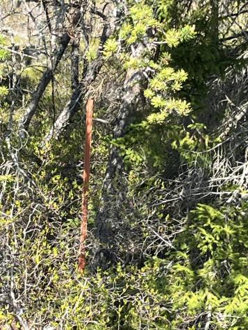 Map30 Lot4 East Schoodic Road Gouldsboro ME 04607