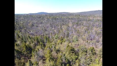Map30 Lot4 East Schoodic Road Gouldsboro ME 04607
