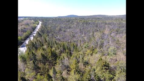 Map30 Lot4 East Schoodic Road Gouldsboro ME 04607