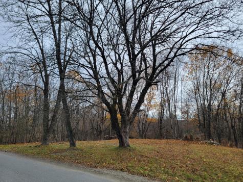 362 Main Street Baileyville ME 04694