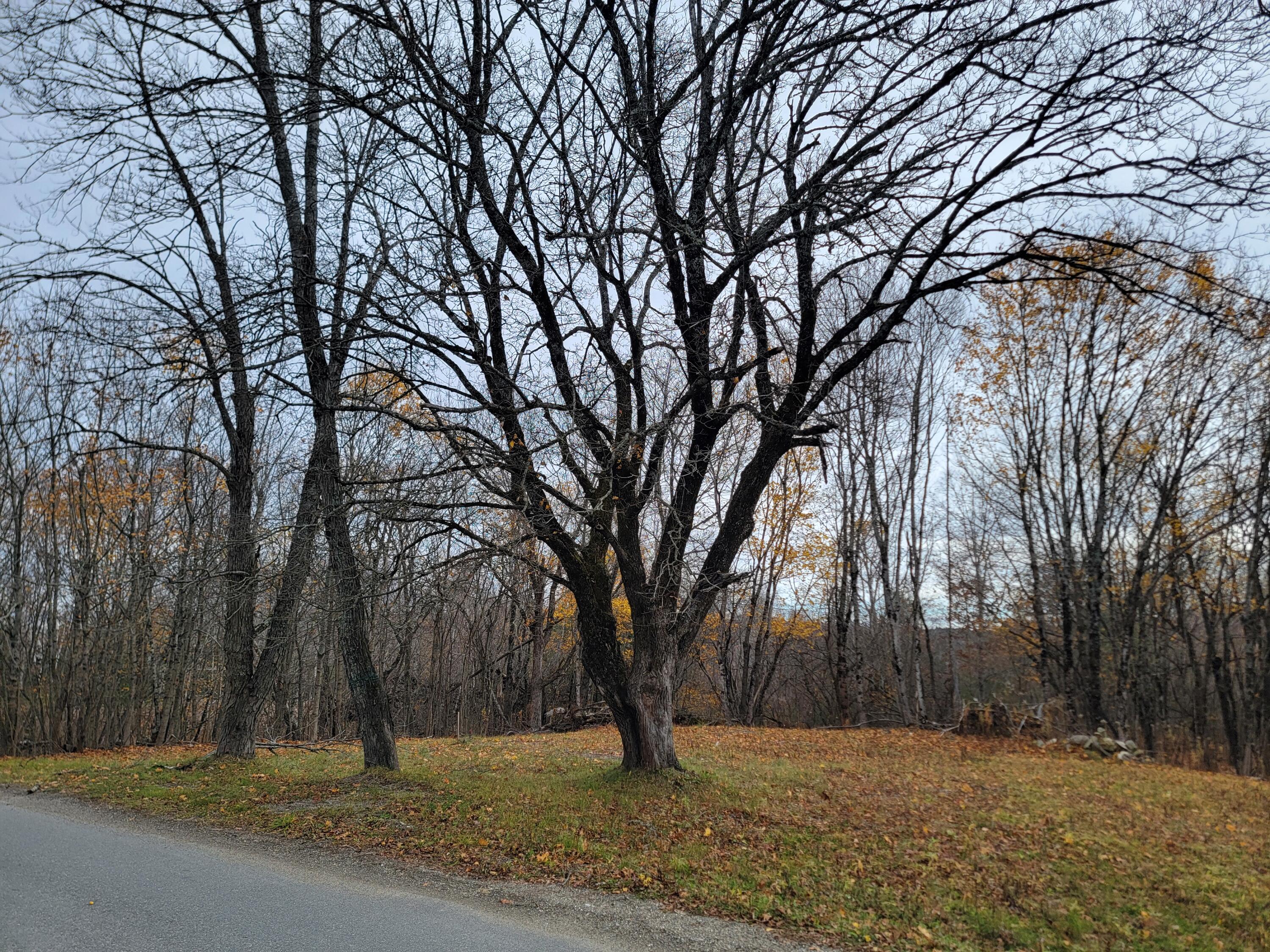 Baileyville ME 04694