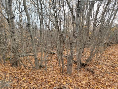 362 Main Street Baileyville ME 04694