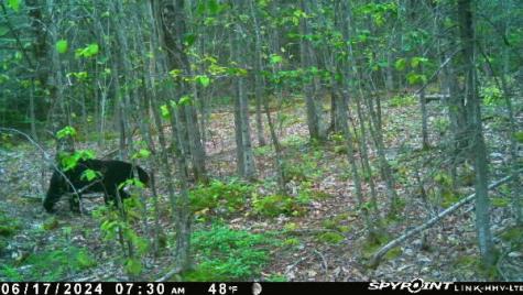 60 Clements Road Winterport ME 04496