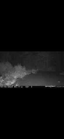 60 Clements Road Winterport ME 04496