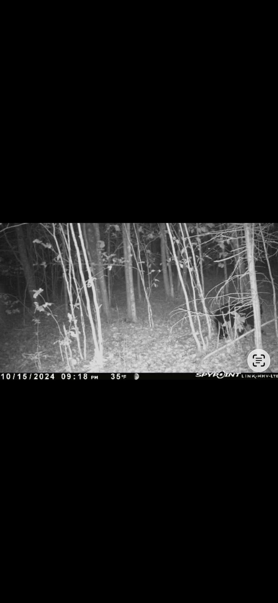 60 Clements Road Winterport ME 04496