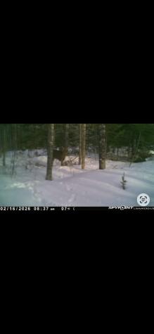 60 Clements Road Winterport ME 04496