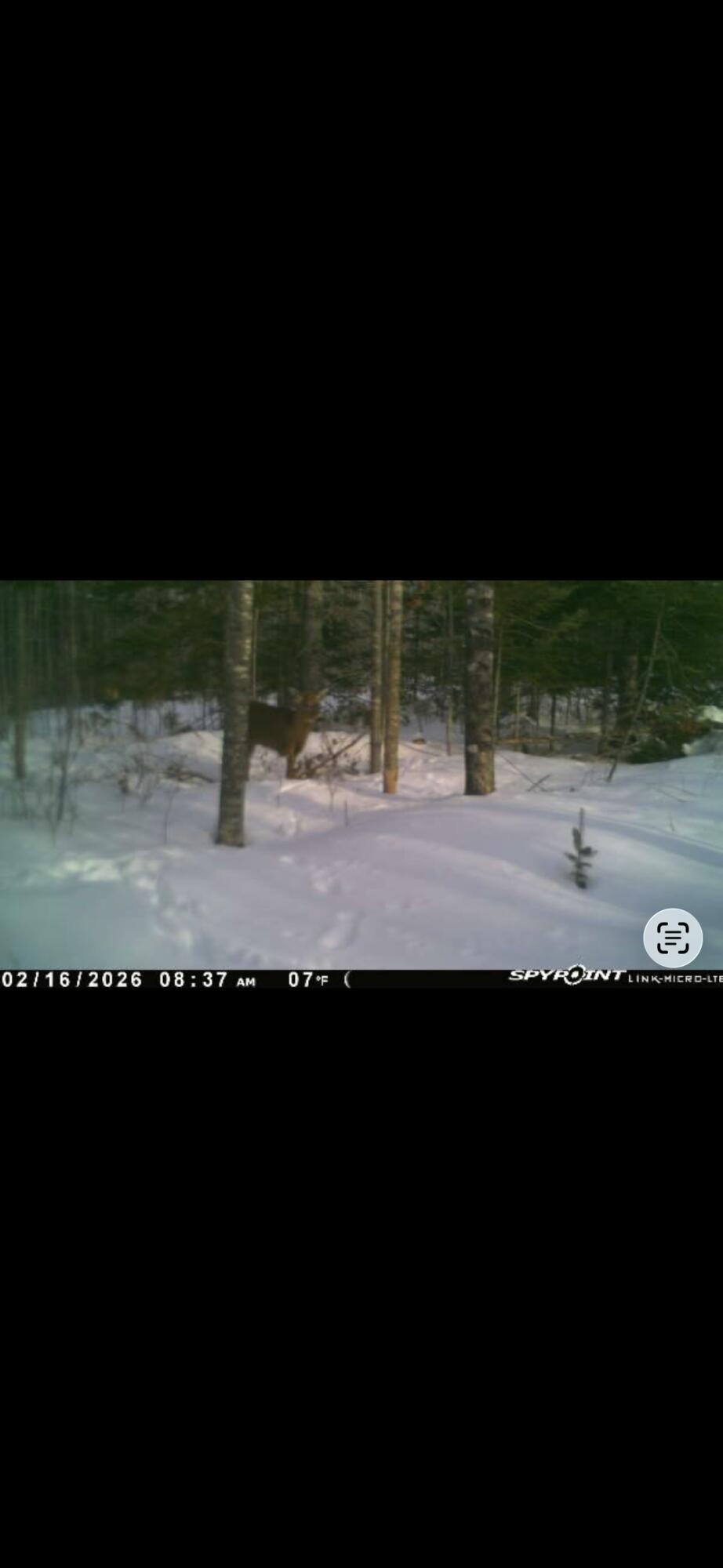 60 Clements Road Winterport ME 04496