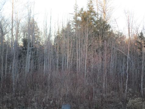 60 Clements Road Winterport ME 04496