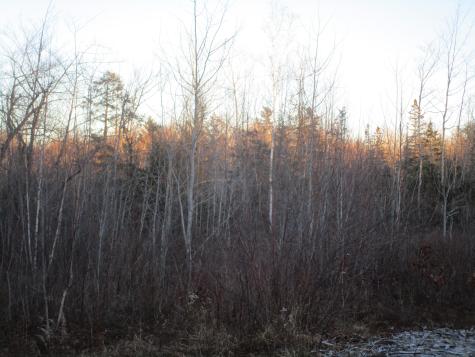 60 Clements Road Winterport ME 04496