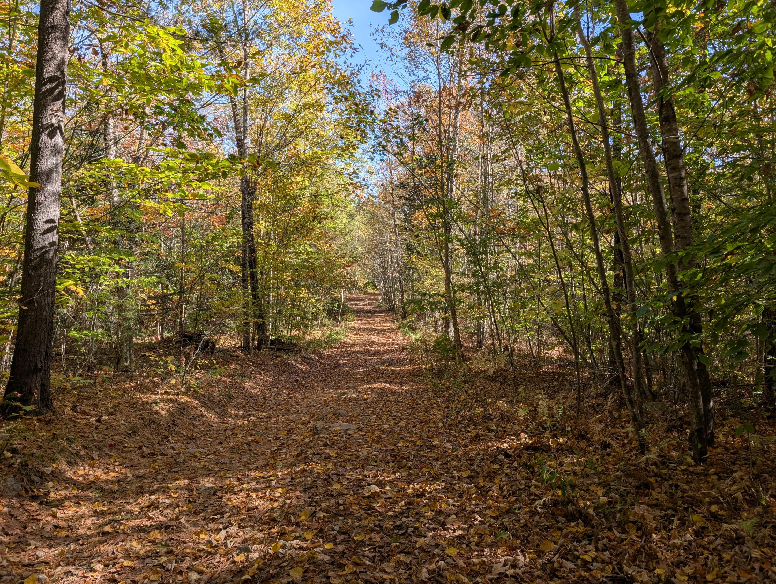 0 Gibbs Mill Road Livermore ME 04253