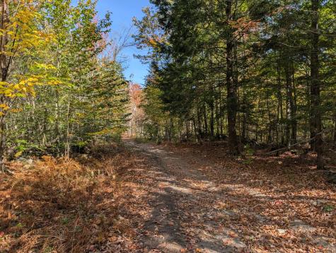 0 Gibbs Mill Road Livermore ME 04253