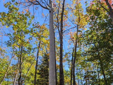 0 Gibbs Mill Road Livermore ME 04253