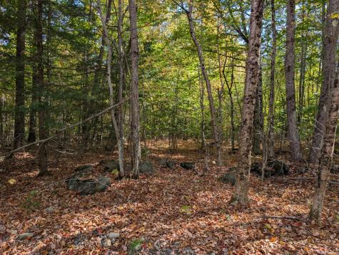 0 Gibbs Mill Road Livermore ME 04253