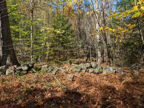 0 Gibbs Mill Road Livermore ME 04253