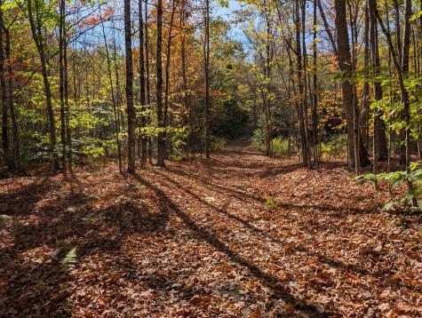 0 Gibbs Mill Road Livermore ME 04253