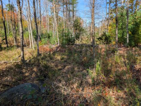 0 Gibbs Mill Road Livermore ME 04253