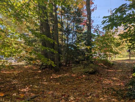 0 Gibbs Mill Road Livermore ME 04253