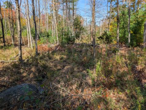 0 Gibbs Mill Road Livermore ME 04253