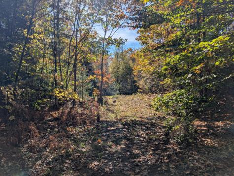 0 Gibbs Mill Road Livermore ME 04253