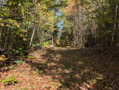 0 Gibbs Mill Road Livermore ME 04253