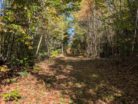 0 Gibbs Mill Road Livermore ME 04253