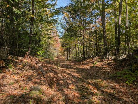 0 Gibbs Mill Road Livermore ME 04253