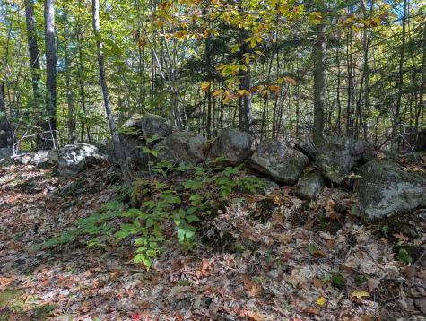 0 Gibbs Mill Road Livermore ME 04253