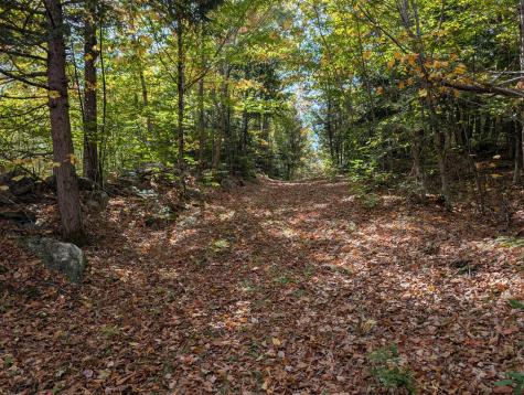 0 Gibbs Mill Road Livermore ME 04253