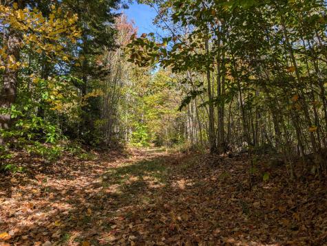 0 Gibbs Mill Road Livermore ME 04253