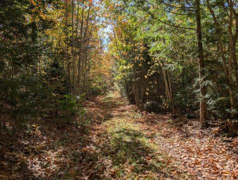 0 Gibbs Mill Road Livermore ME 04253