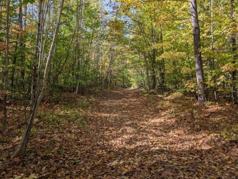 0 Gibbs Mill Road Livermore ME 04253