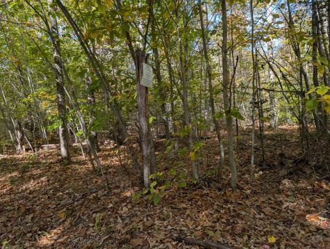 0 Gibbs Mill Road Livermore ME 04253