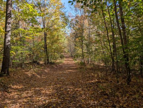 0 Gibbs Mill Road Livermore ME 04253