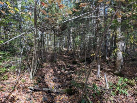 0 Gibbs Mill Road Livermore ME 04253