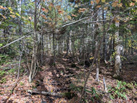 0 Gibbs Mill Road Livermore ME 04253