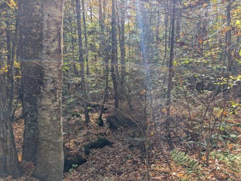 0 Gibbs Mill Road Livermore ME 04253