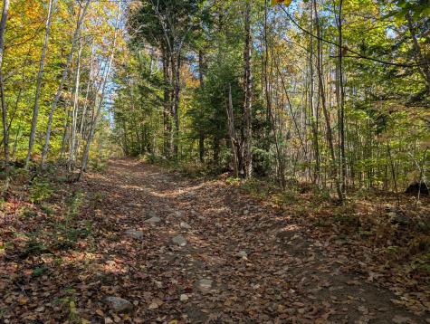 0 Gibbs Mill Road Livermore ME 04253