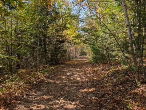 0 Gibbs Mill Road Livermore ME 04253