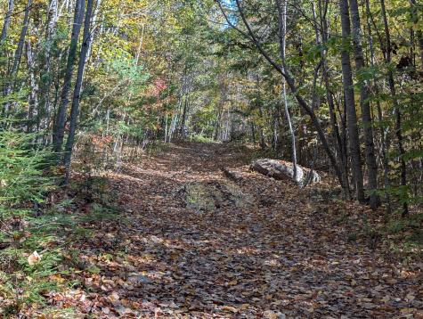 0 Gibbs Mill Road Livermore ME 04253