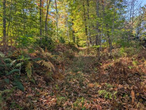 0 Gibbs Mill Road Livermore ME 04253