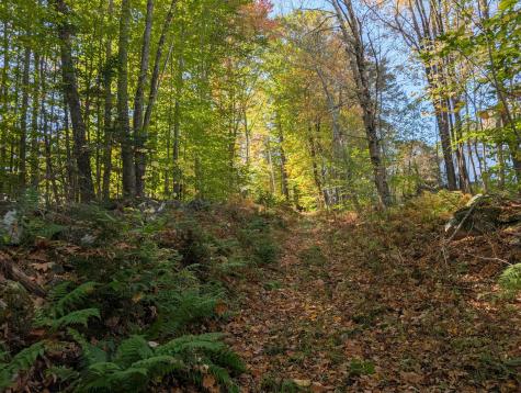 0 Gibbs Mill Road Livermore ME 04253