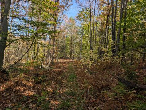 0 Gibbs Mill Road Livermore ME 04253