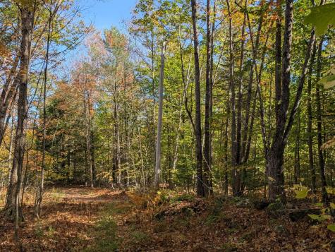 0 Gibbs Mill Road Livermore ME 04253