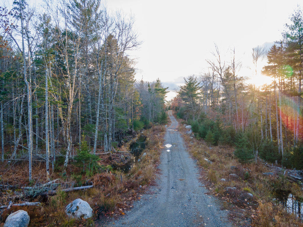 #15 Granite Rock Circle N Surry ME 04684