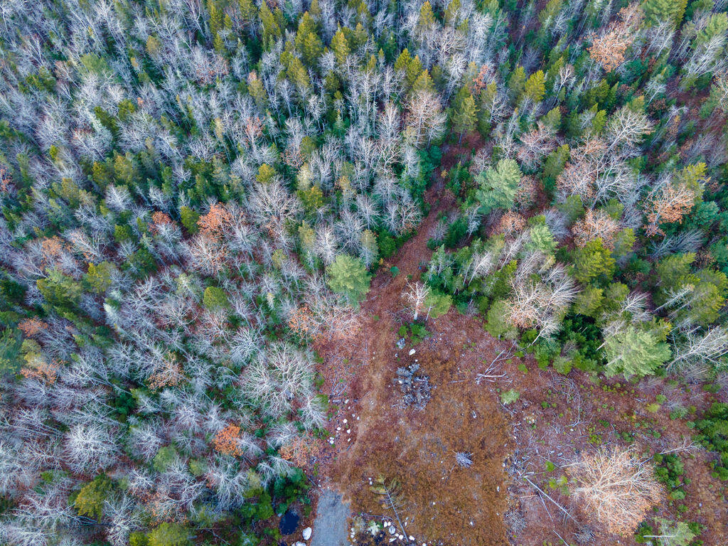 #15 Granite Rock Circle N Surry ME 04684