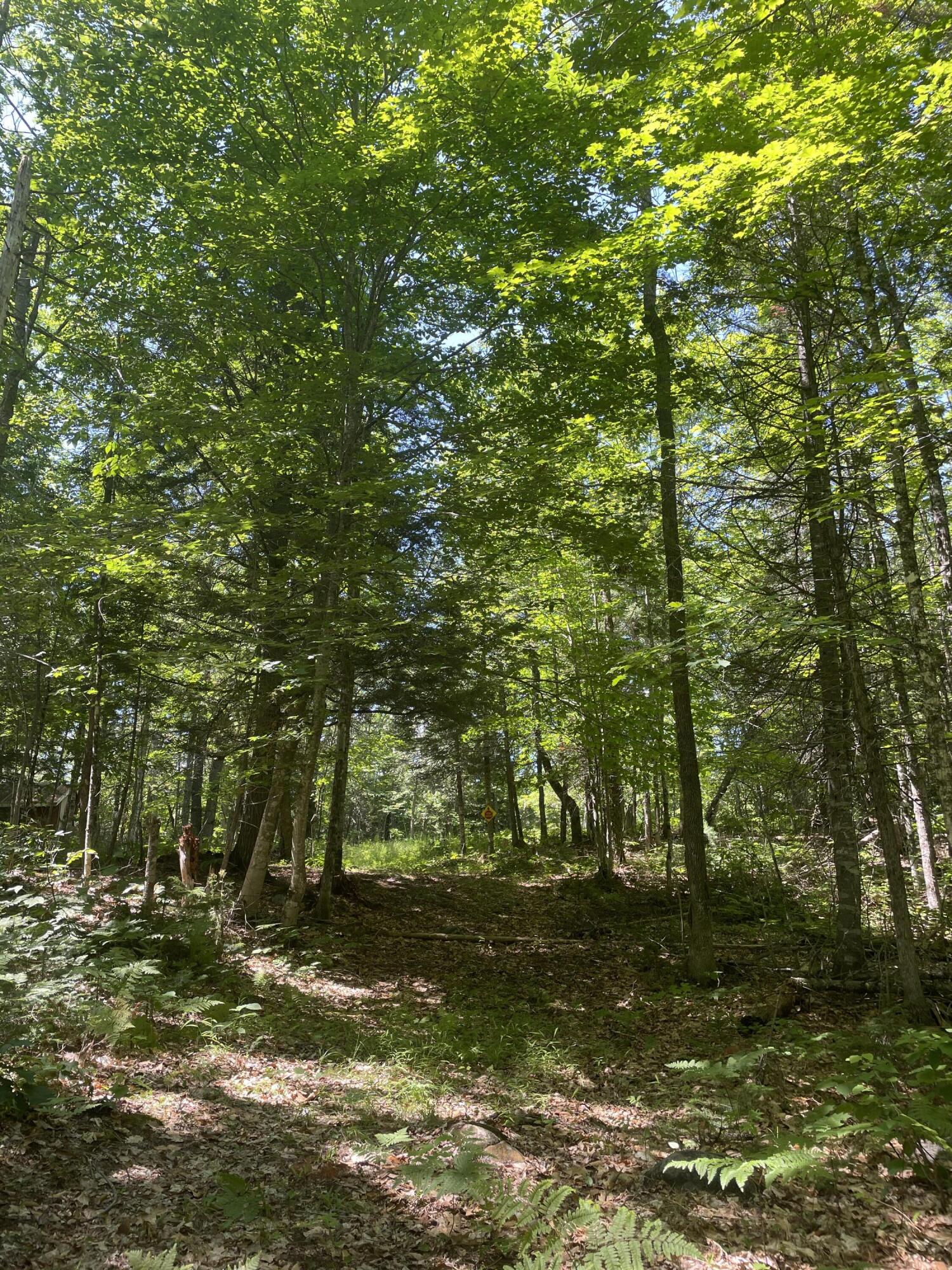 Tbd Carrabassett Road New Portland ME 04961