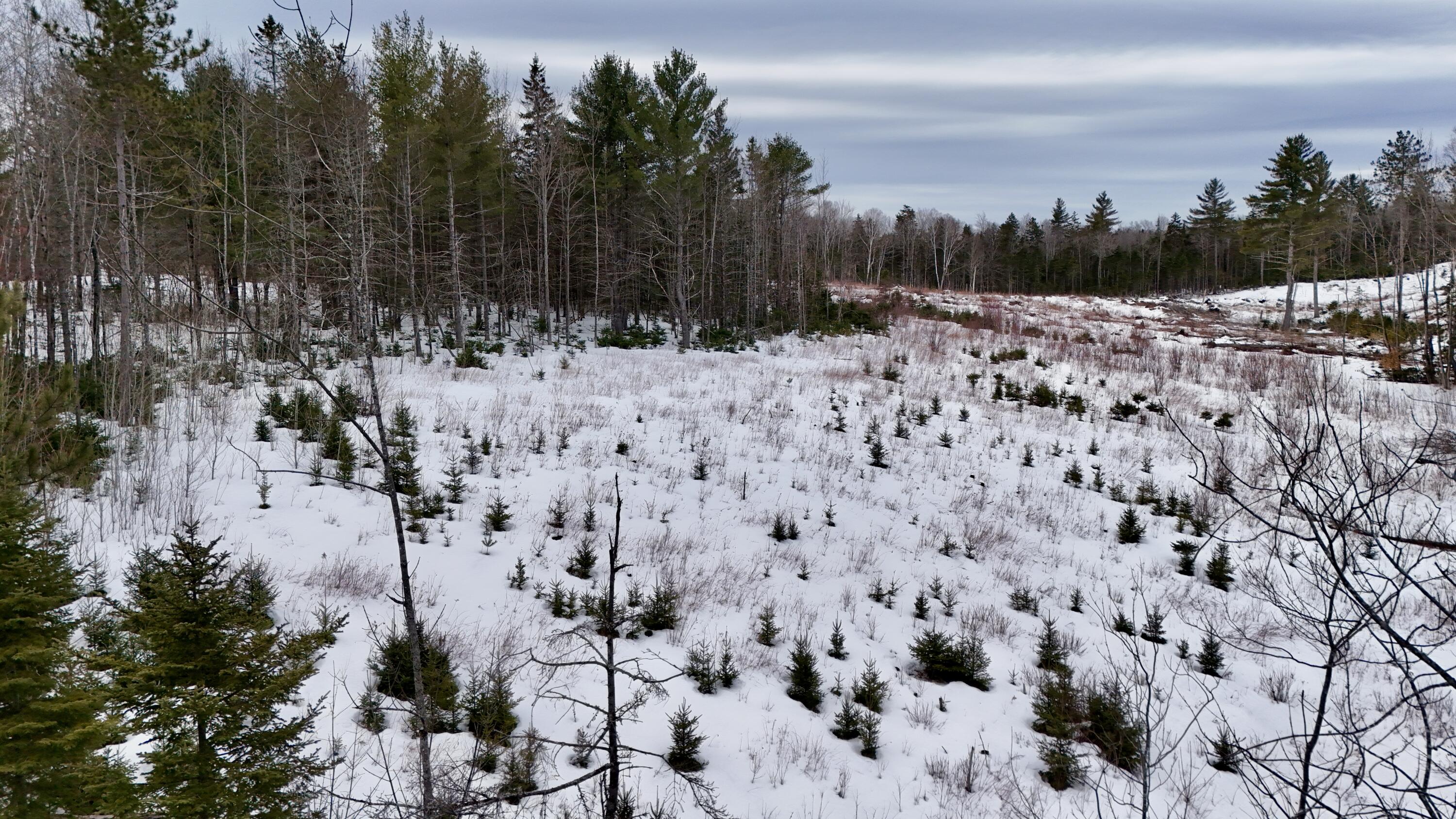 151 N Guilford Road Monson ME 04464